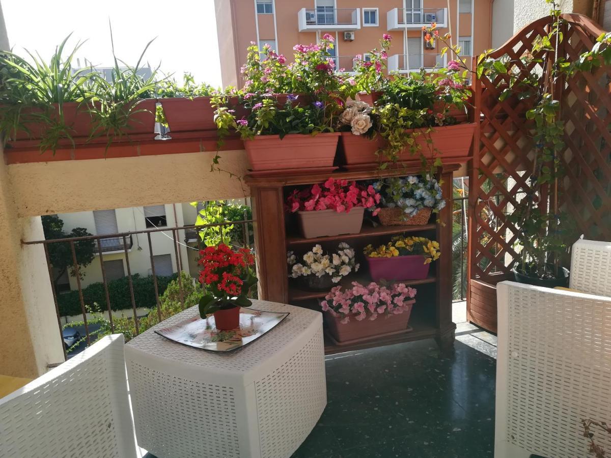 Domus Aurea Bed & Breakfast Ористано Екстериор снимка